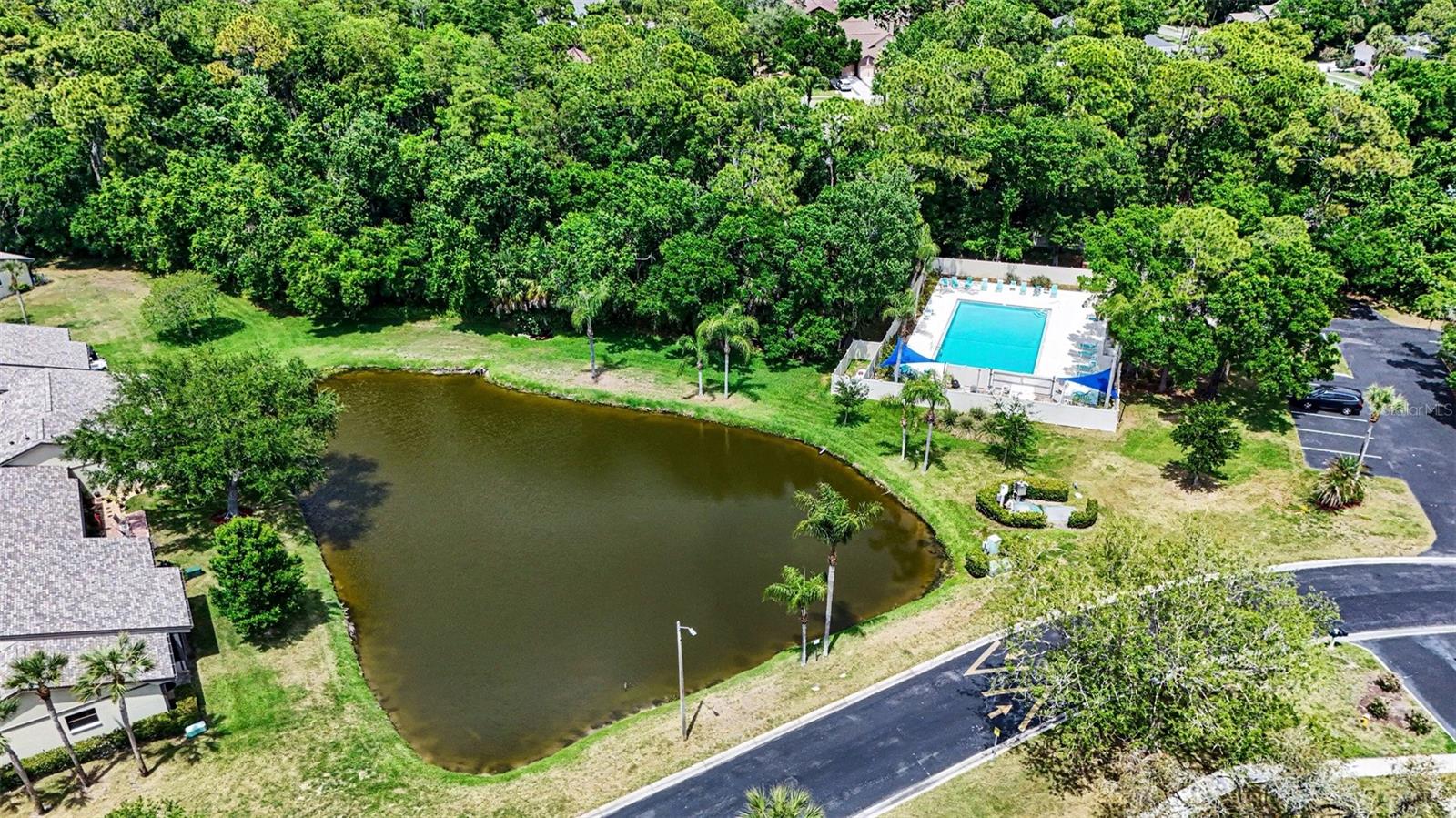 10 LESLEY LN, OLDSMAR, FL, 34677