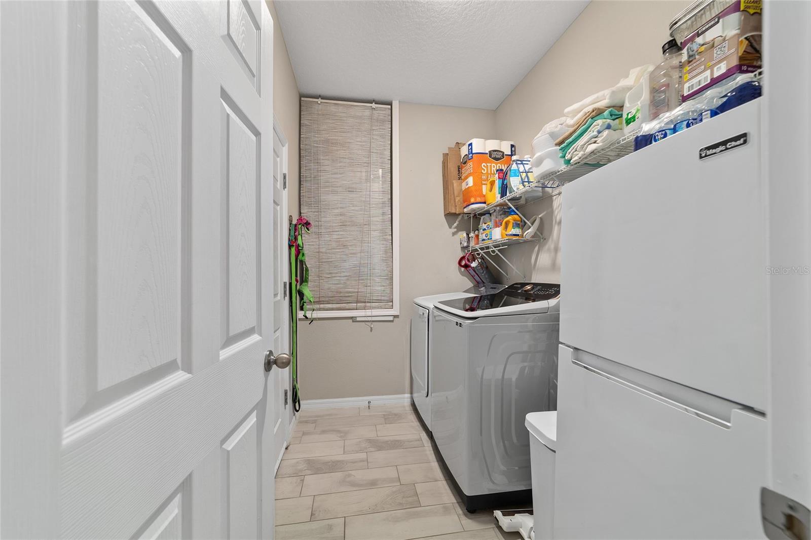 15 MALAUKA CIR, WEIRSDALE, FL, 32195