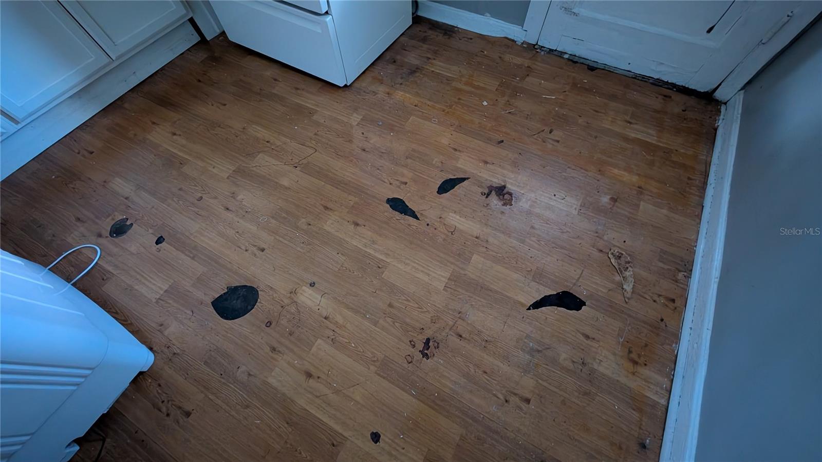 2801 W CLEVELAND ST, TAMPA, FL, 33609