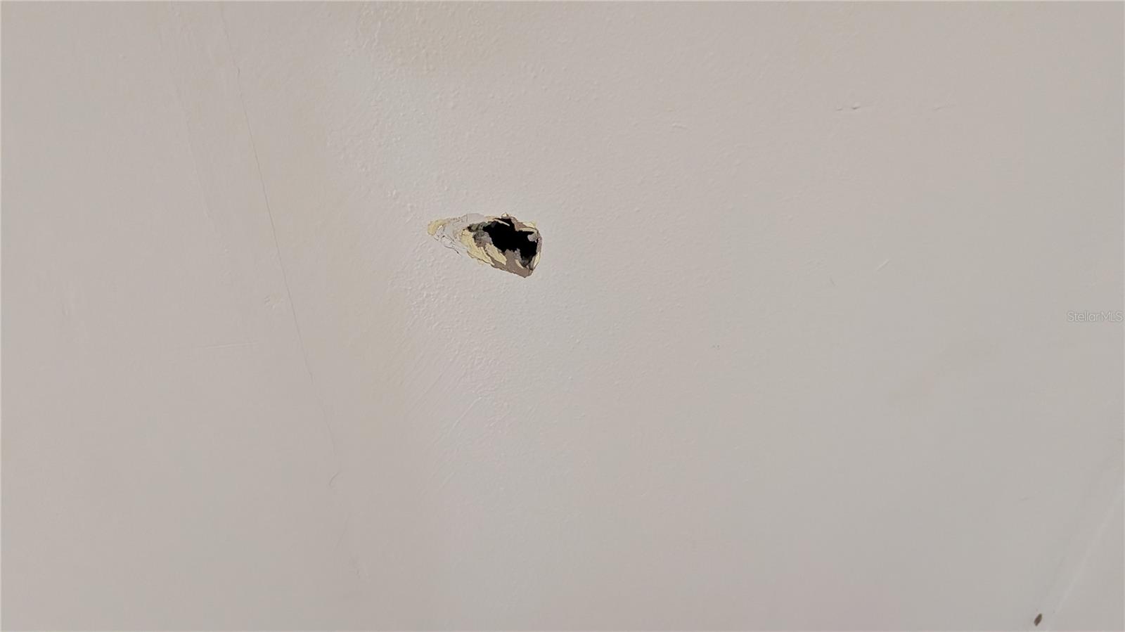 2801 W CLEVELAND ST, TAMPA, FL, 33609