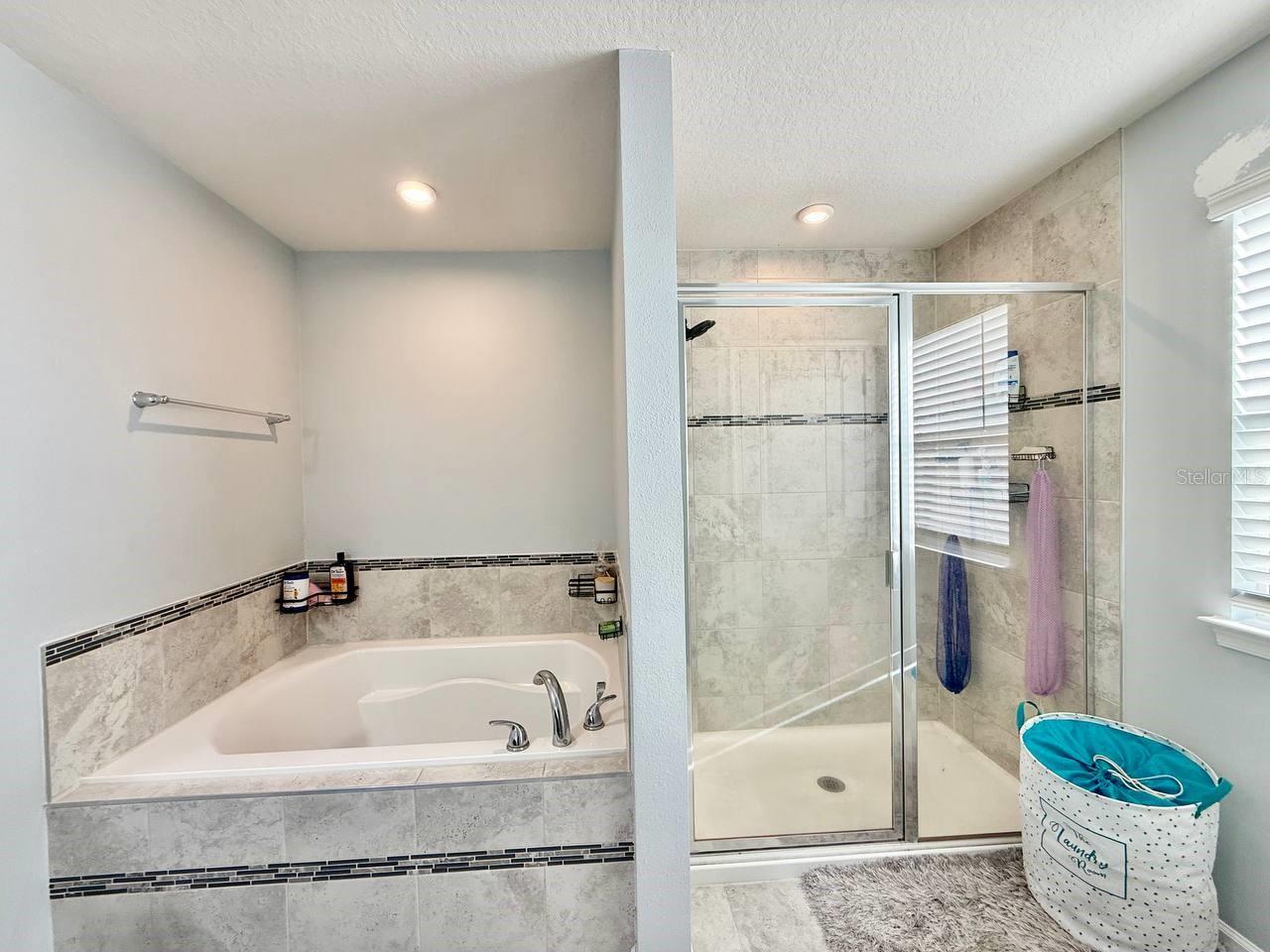 12258 BLUE PACIFIC DR, RIVERVIEW, FL, 33579