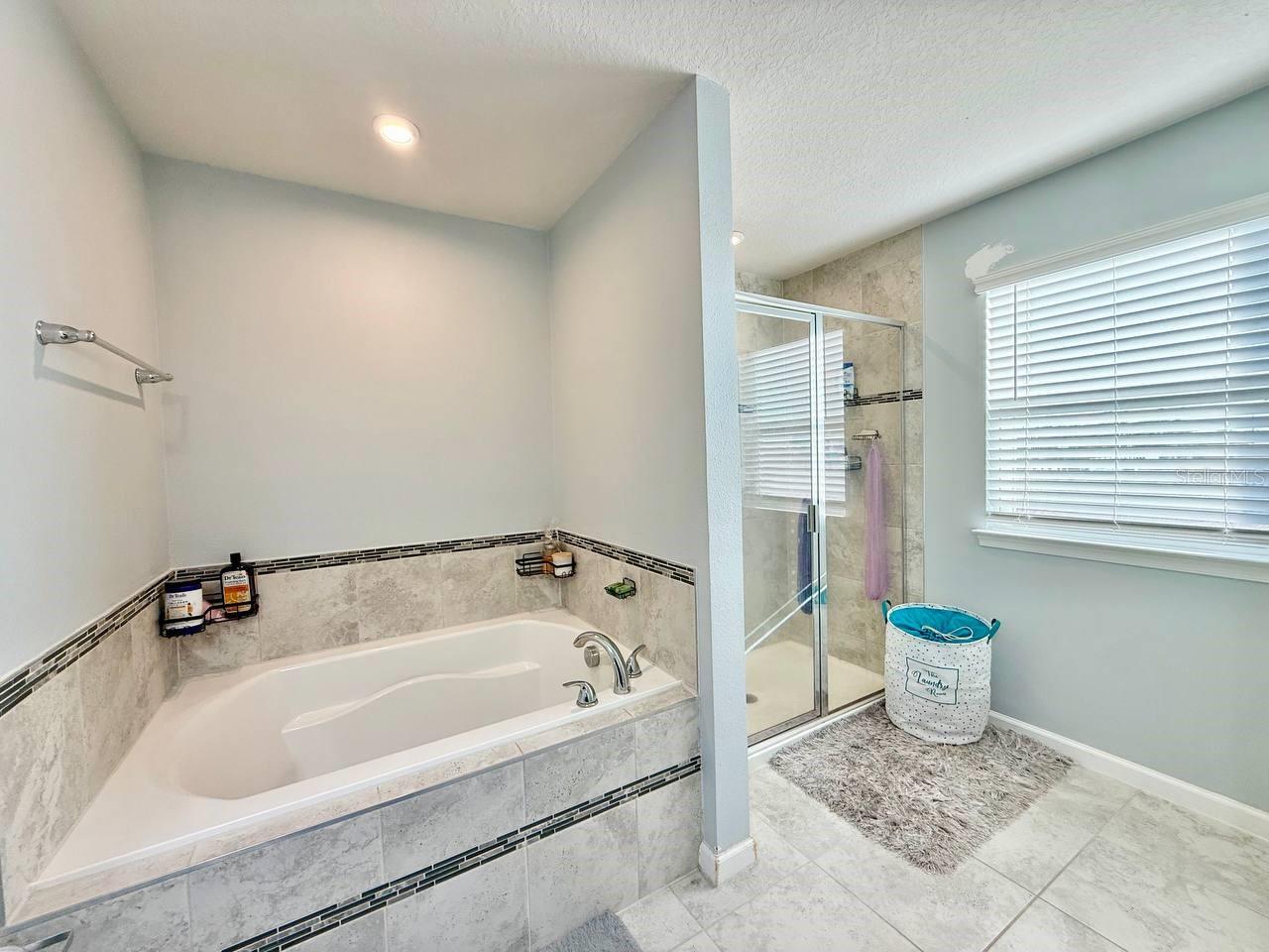 12258 BLUE PACIFIC DR, RIVERVIEW, FL, 33579