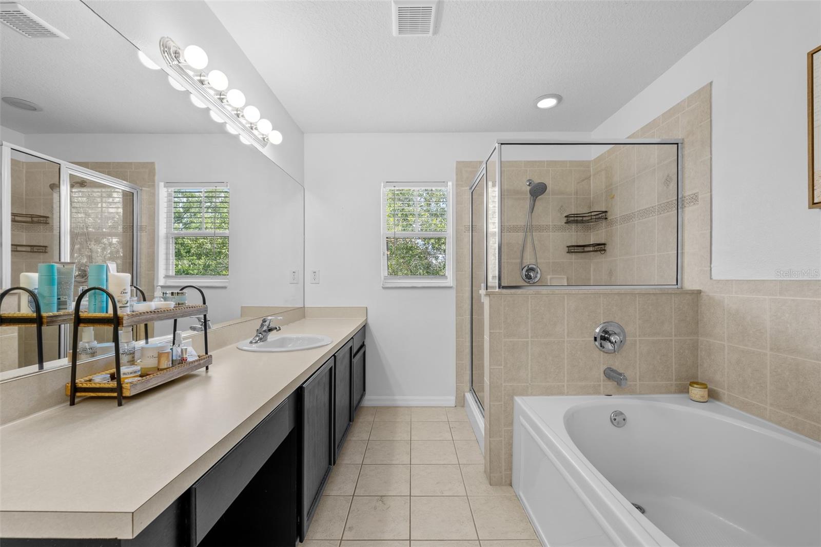 8519 BROKEN WILLOW CT, TAMPA, FL, 33647