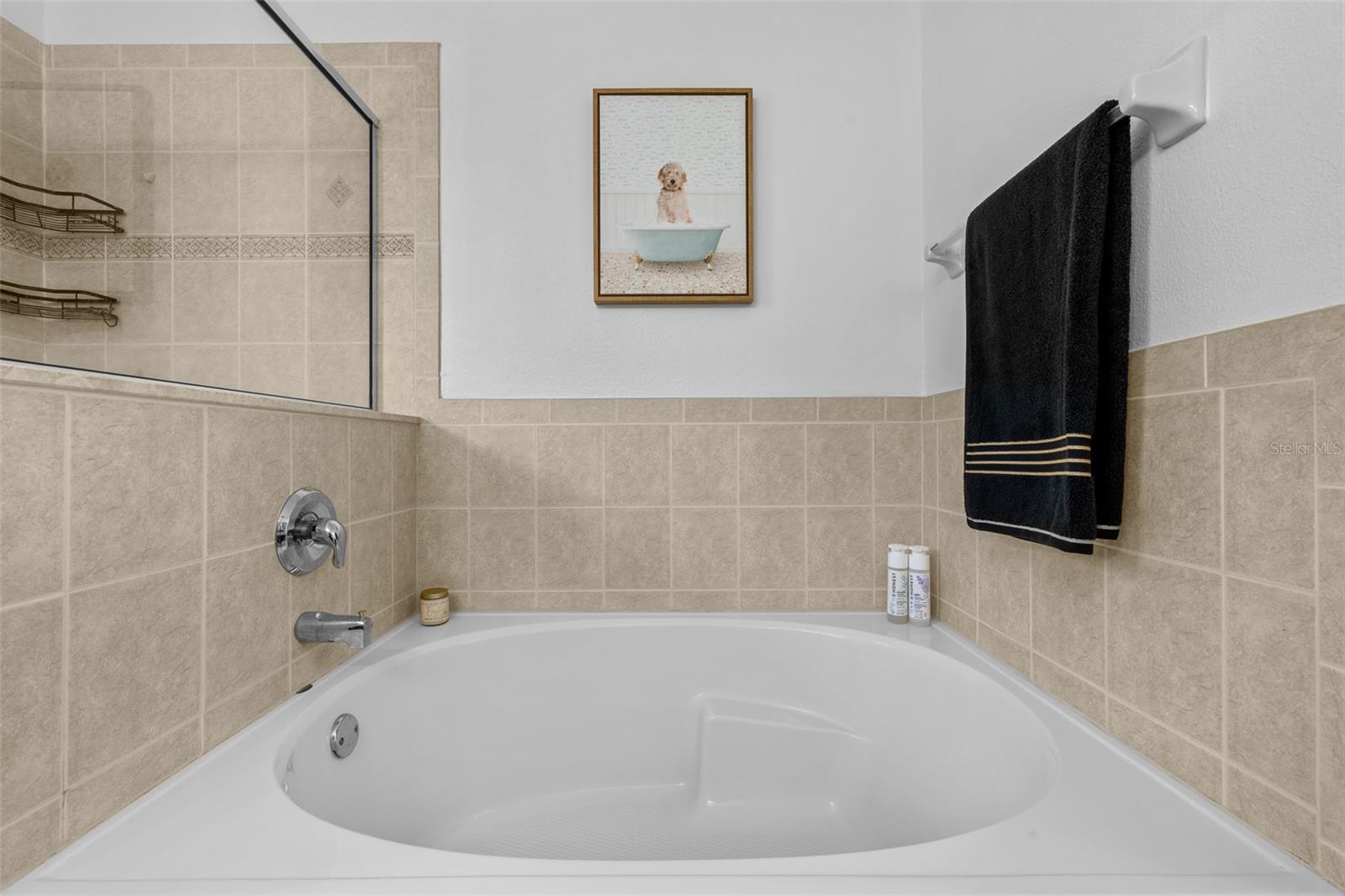 8519 BROKEN WILLOW CT, TAMPA, FL, 33647