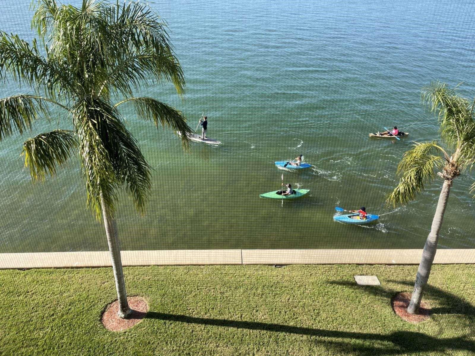 5900 SHORE BLVD S #402, GULFPORT, FL, 33707