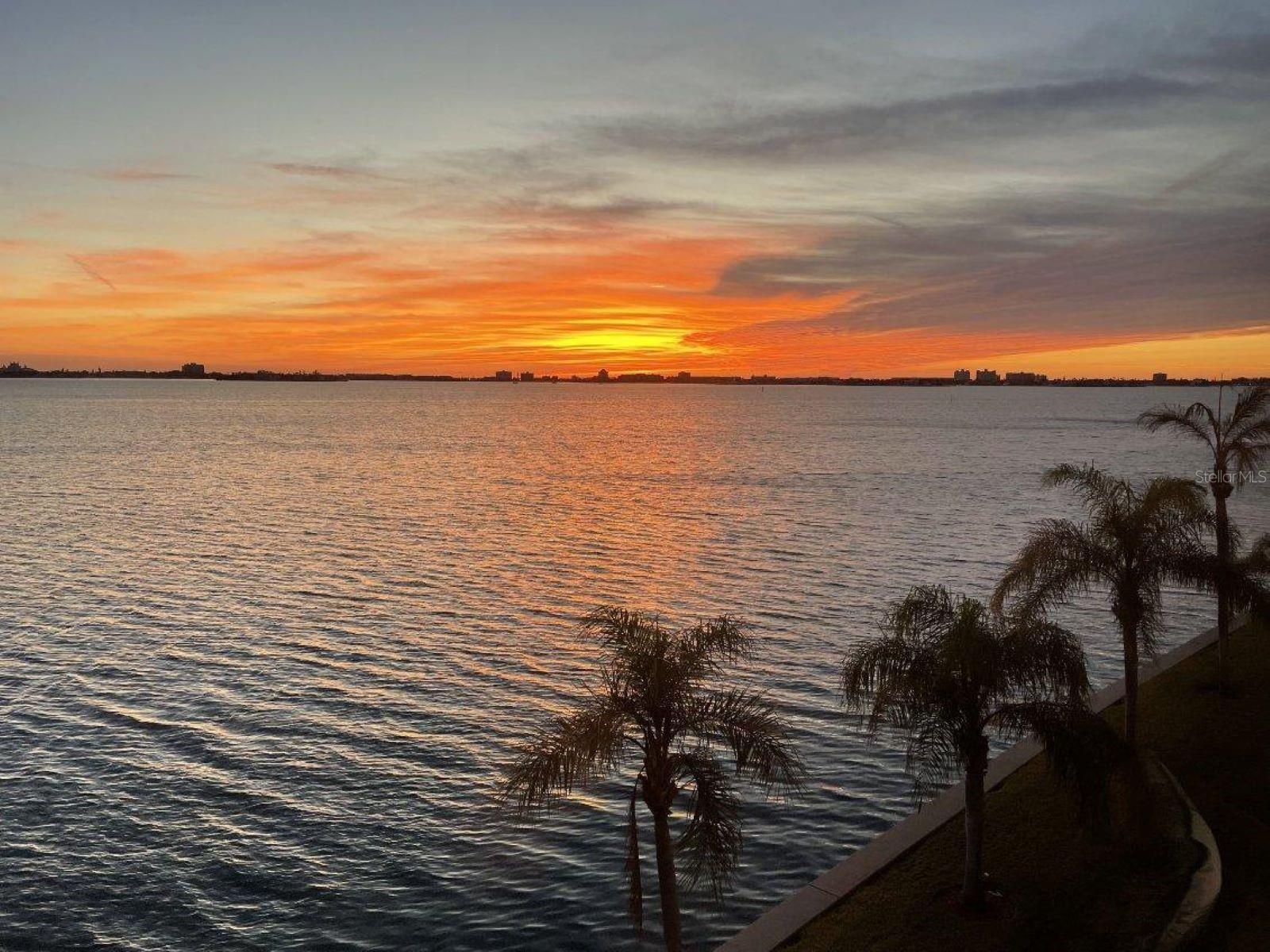 5900 SHORE BLVD S #402, GULFPORT, FL, 33707