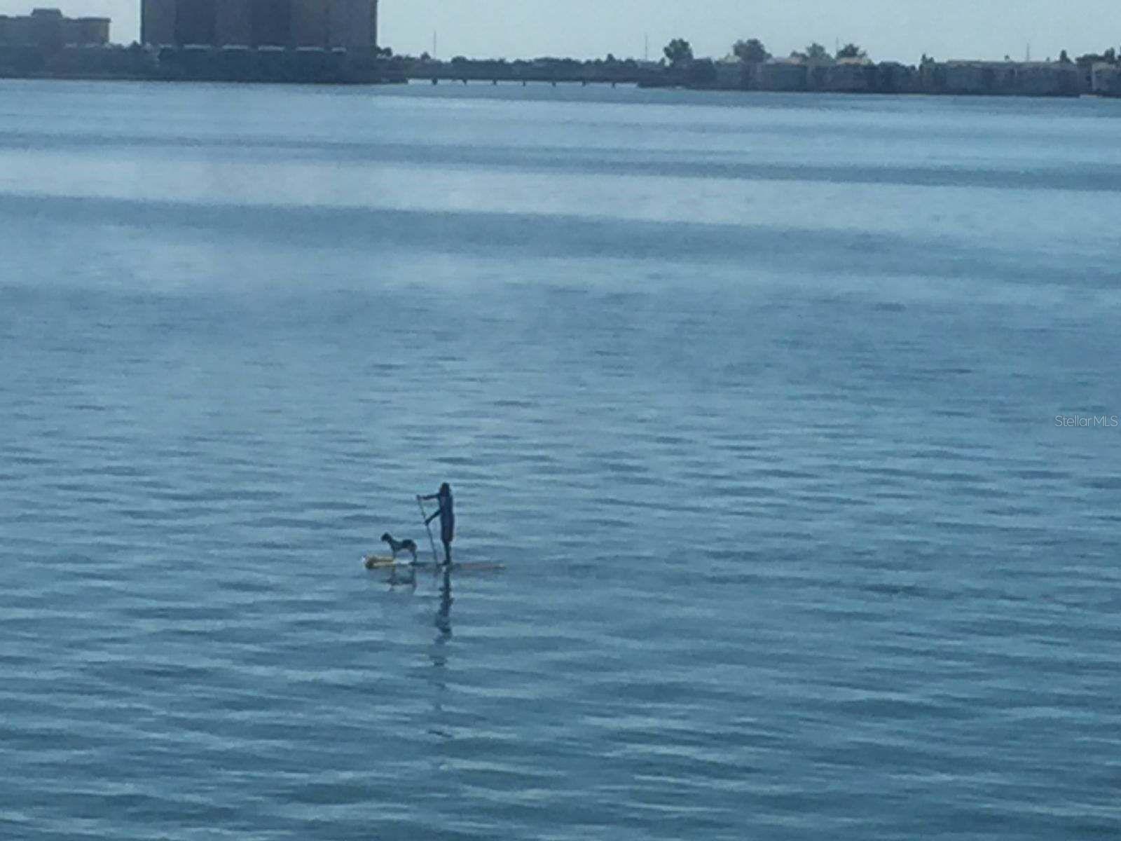 5900 SHORE BLVD S #402, GULFPORT, FL, 33707