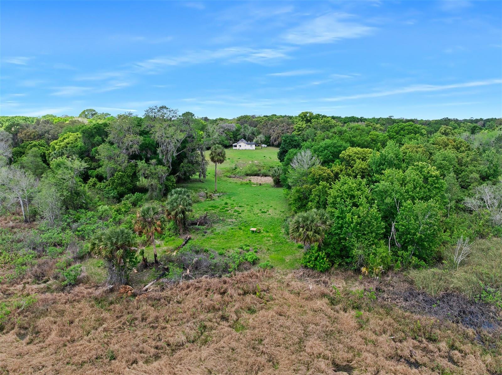 141 N PINE ST, PIERSON, FL, 32180