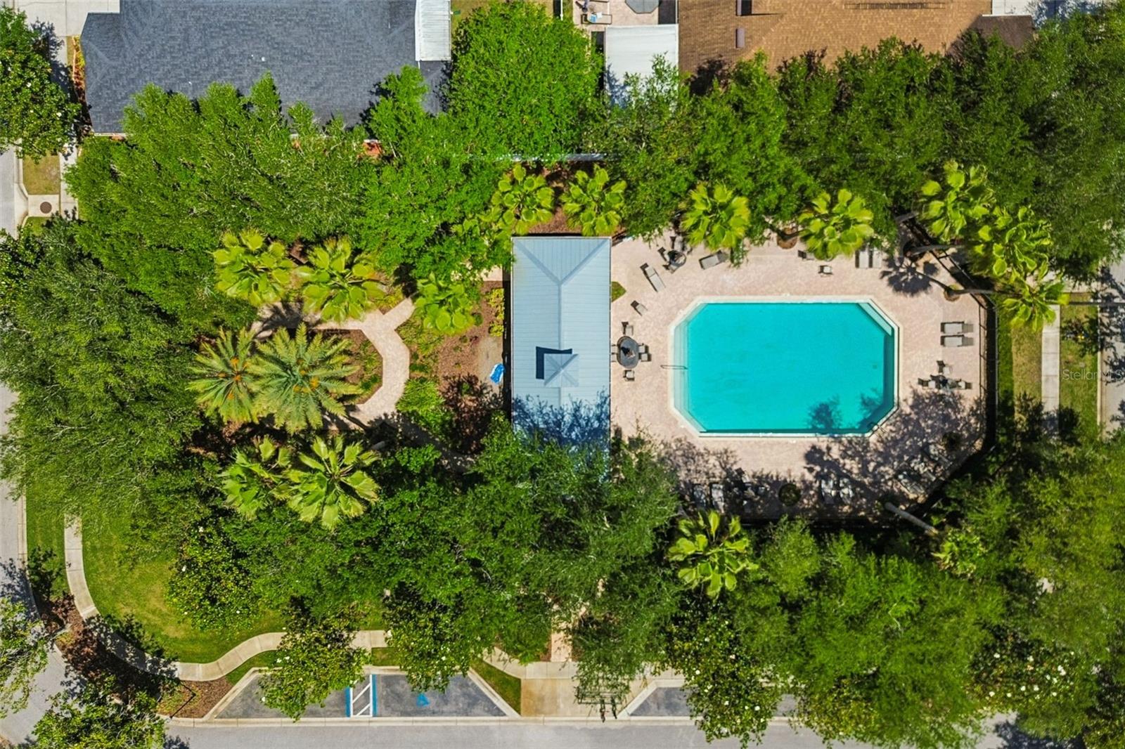 4910 SKY BLUE DR, LUTZ, FL, 33558