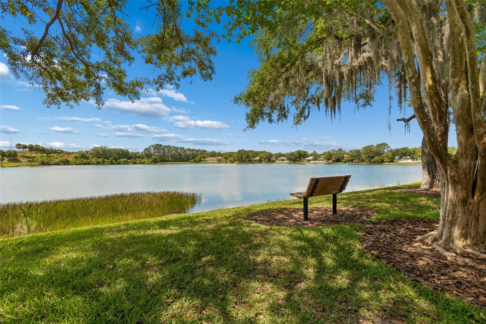 4910 SKY BLUE DR, LUTZ, FL, 33558