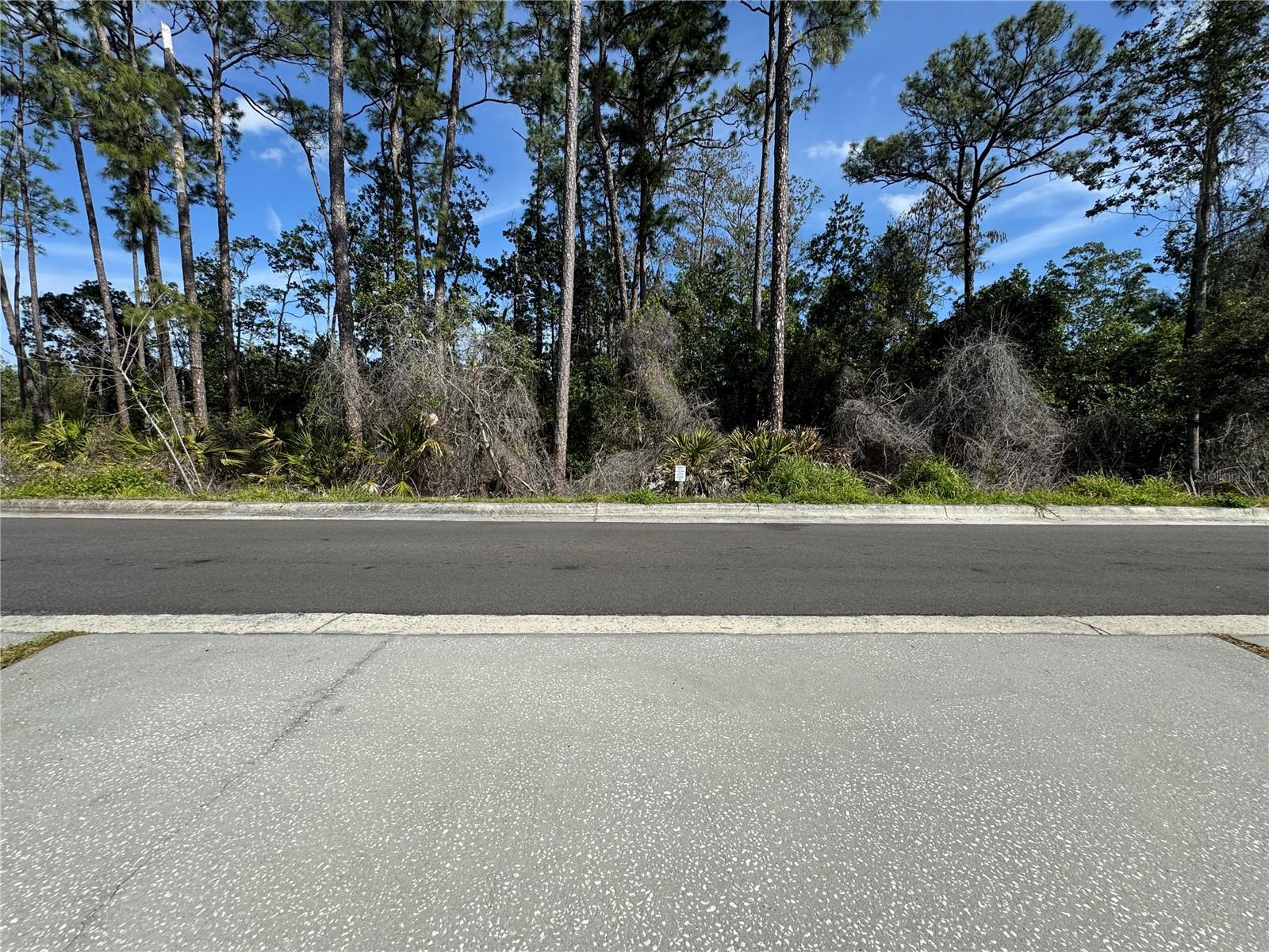 12965 LANGSTAFF DR, WINDERMERE, FL, 34786