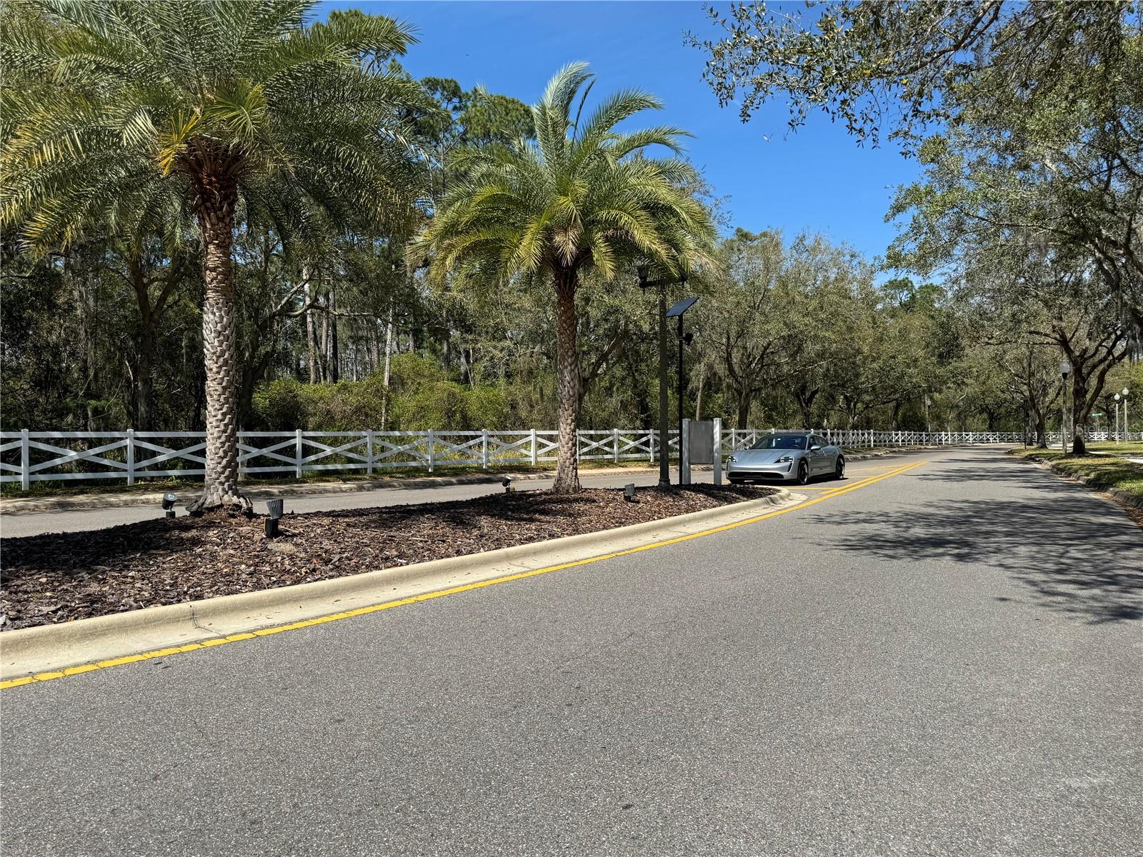 12965 LANGSTAFF DR, WINDERMERE, FL, 34786