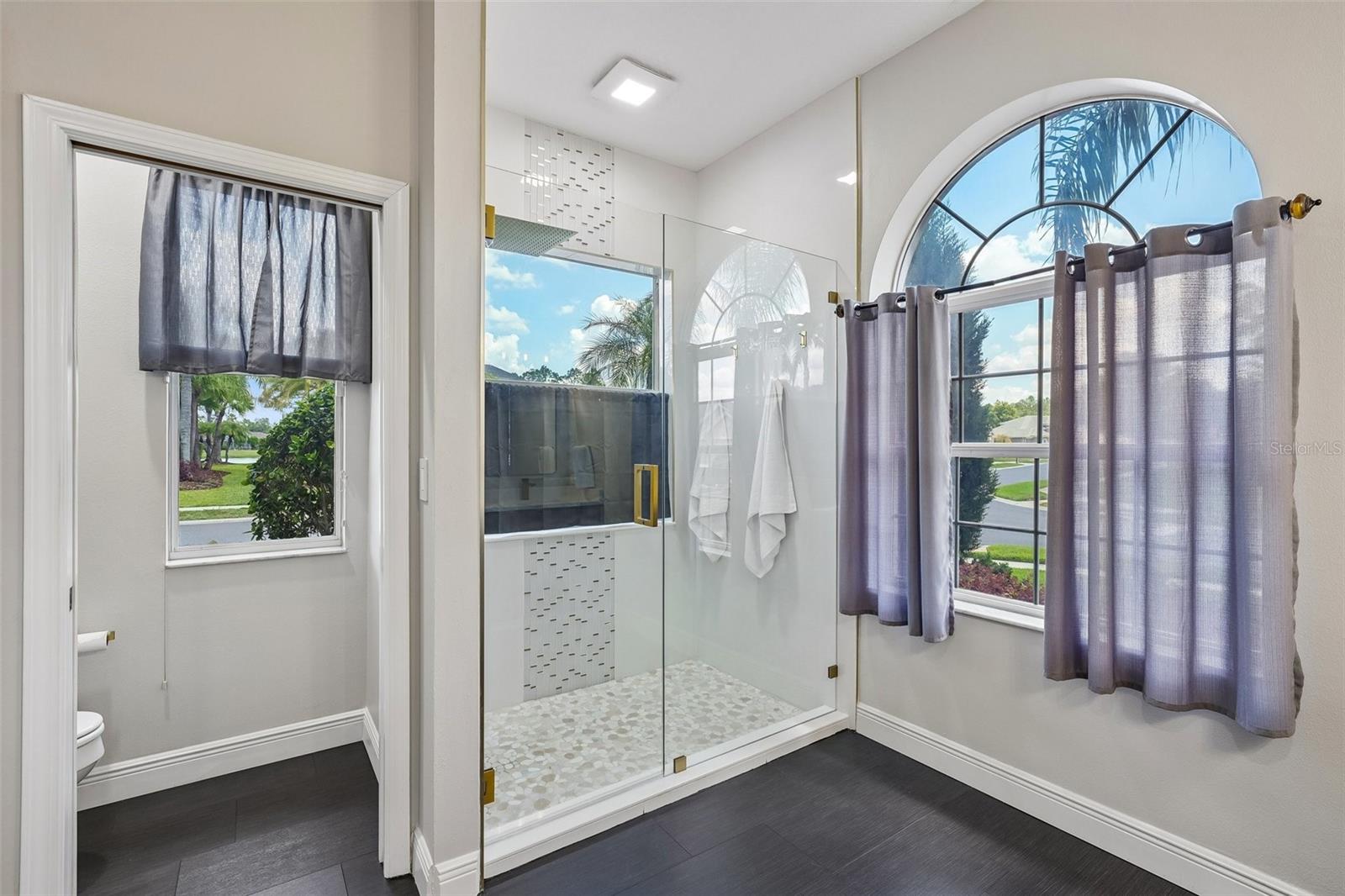 3433 LEAF LAKE DR, LAND O LAKES, FL, 34639