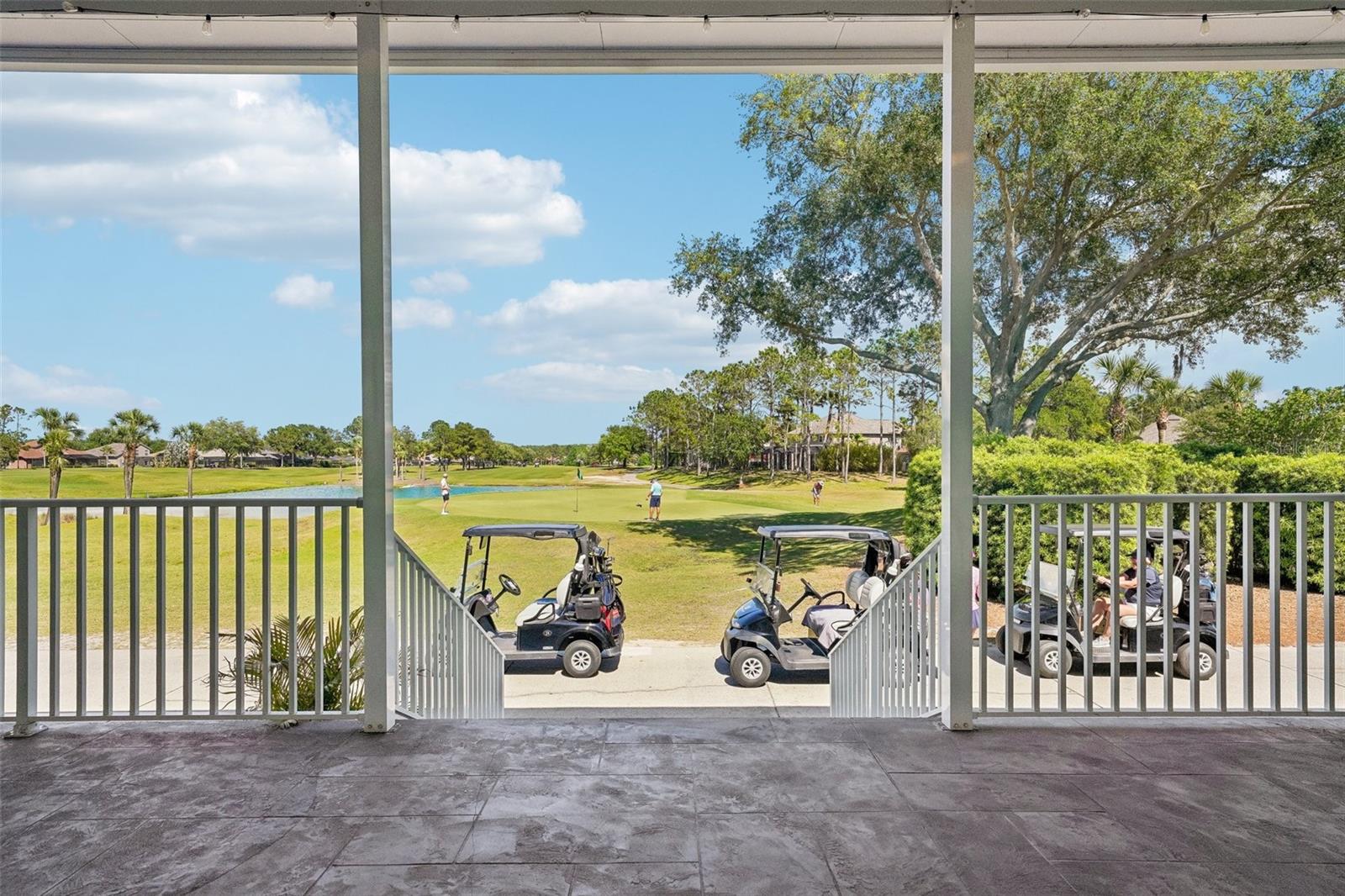 3433 LEAF LAKE DR, LAND O LAKES, FL, 34639