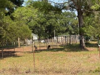 4760 NW 55TH AVE, BELL, FL, 32619