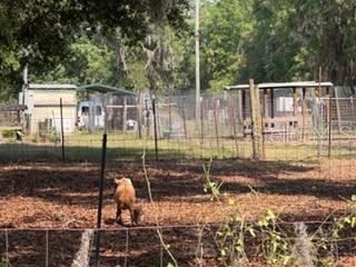 4760 NW 55TH AVE, BELL, FL, 32619