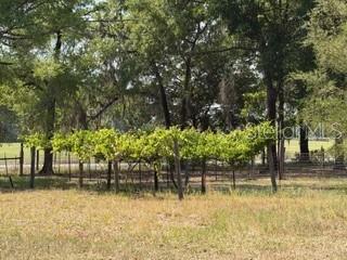 4760 NW 55TH AVE, BELL, FL, 32619