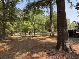 4760 NW 55TH AVE, BELL, FL, 32619