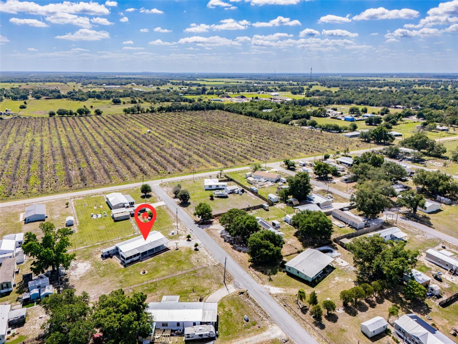 1586 NE GRAPEFRUIT ST, ARCADIA, FL, 34266