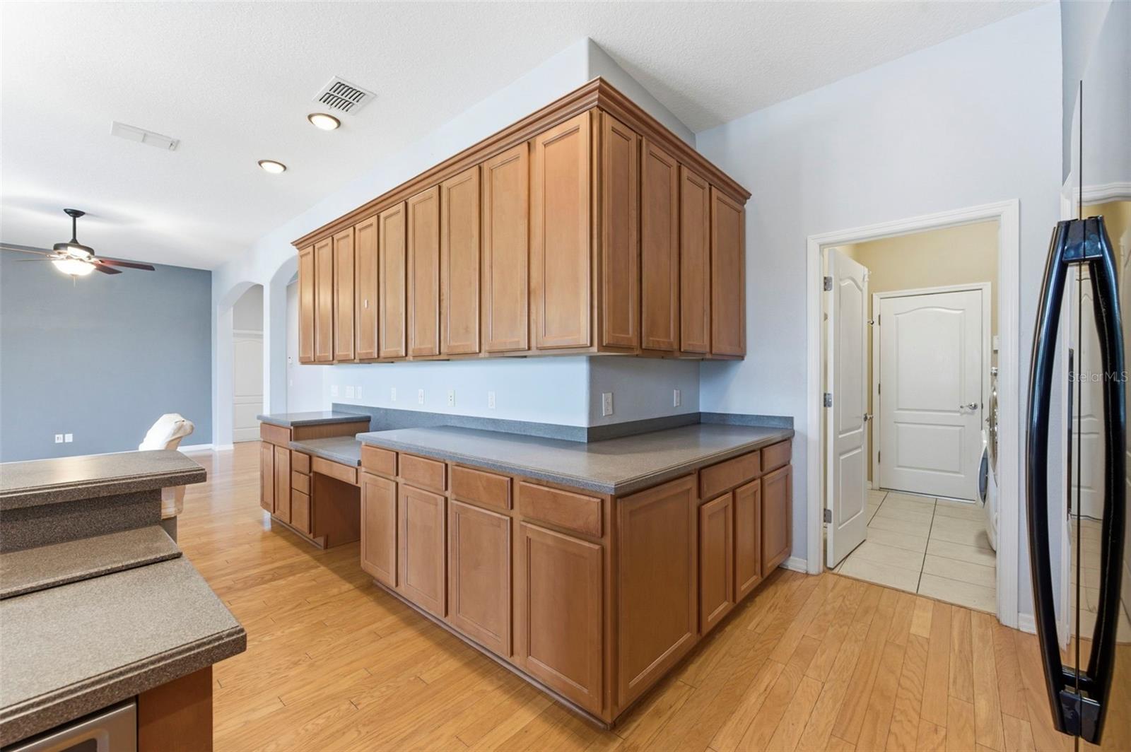 20629 WILD PLUM CT, LAND O LAKES, FL, 34637