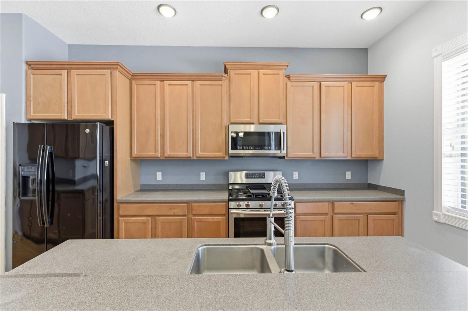 20629 WILD PLUM CT, LAND O LAKES, FL, 34637