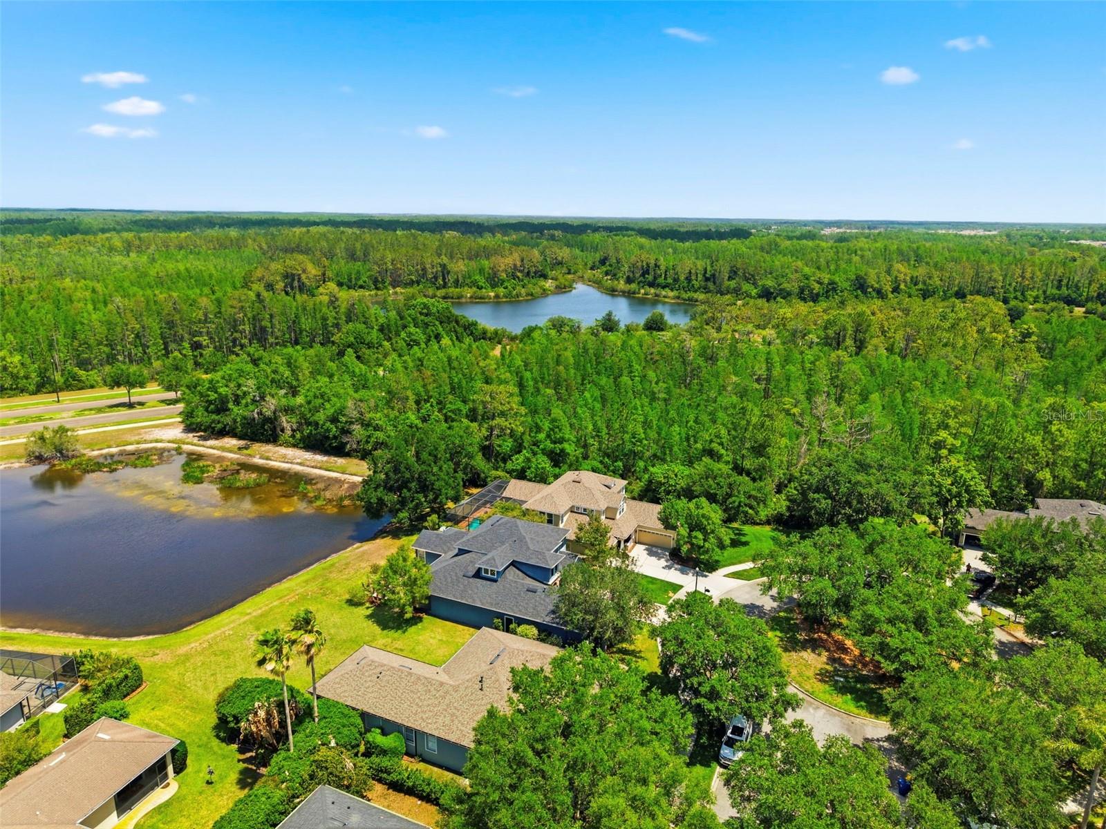 20629 WILD PLUM CT, LAND O LAKES, FL, 34637