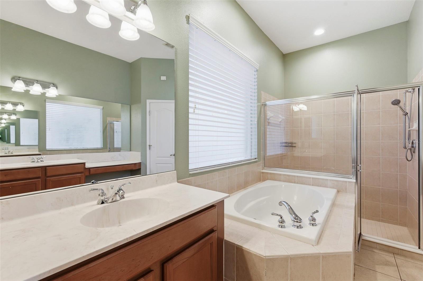 20629 WILD PLUM CT, LAND O LAKES, FL, 34637