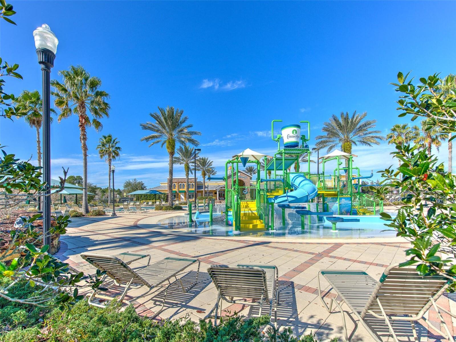 20629 WILD PLUM CT, LAND O LAKES, FL, 34637