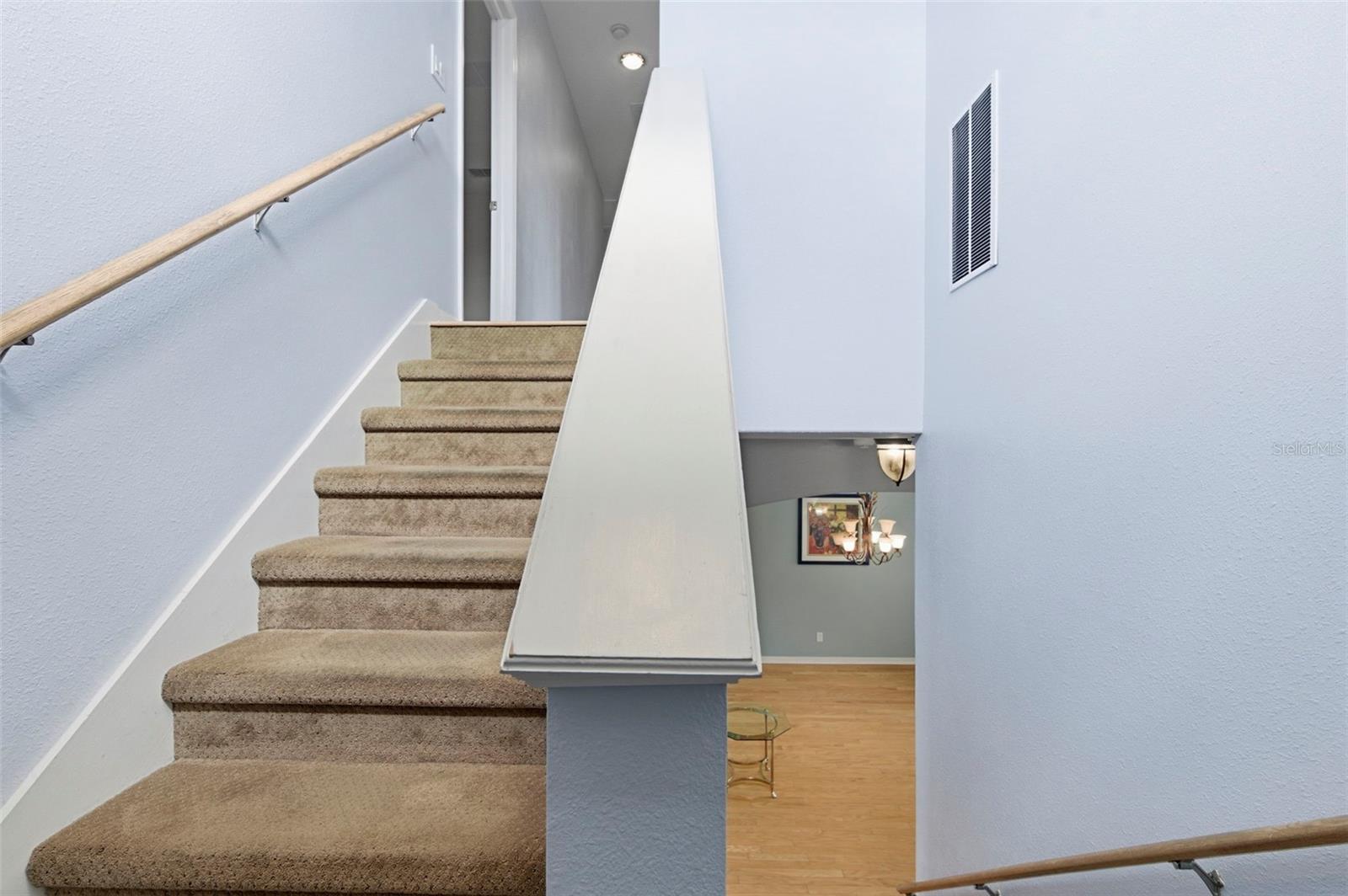 20629 WILD PLUM CT, LAND O LAKES, FL, 34637