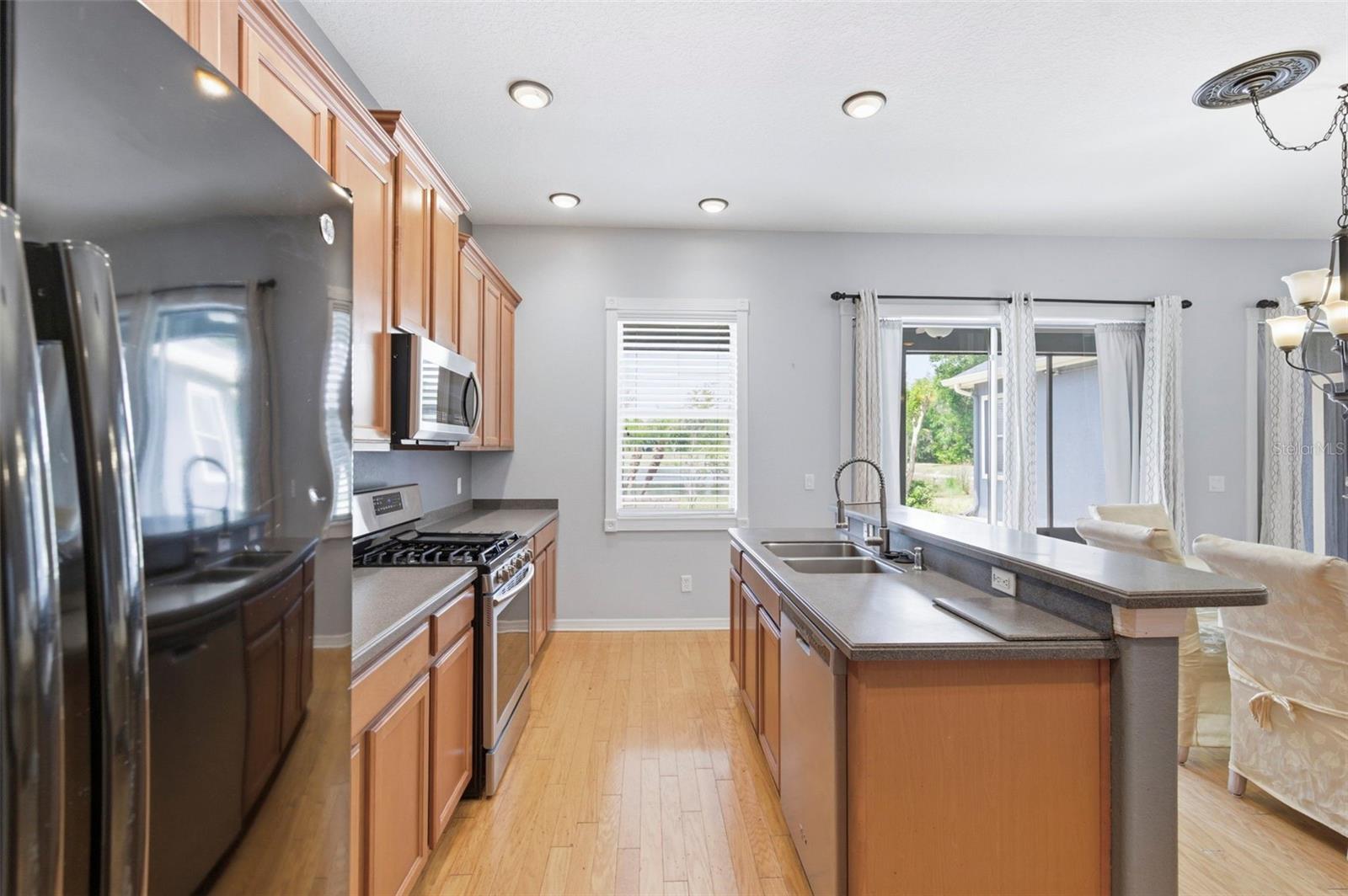 20629 WILD PLUM CT, LAND O LAKES, FL, 34637