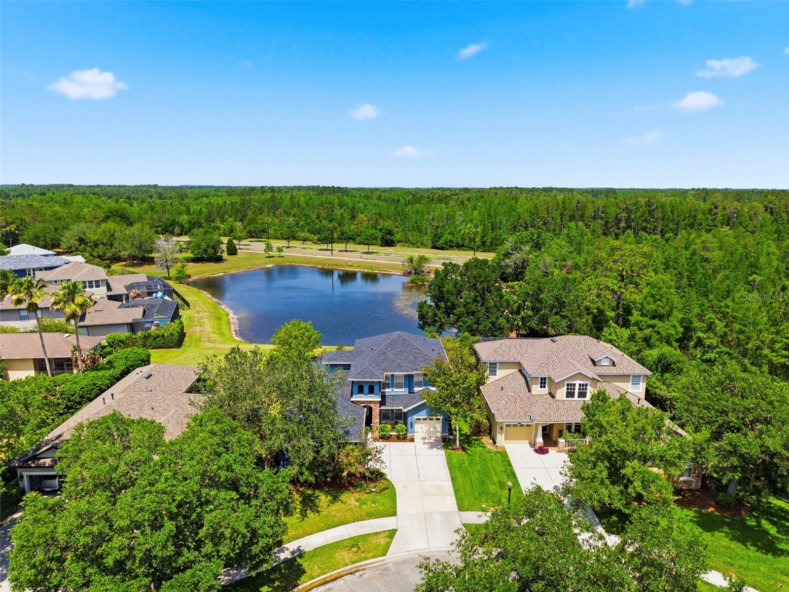 20629 WILD PLUM CT, LAND O LAKES, FL, 34637