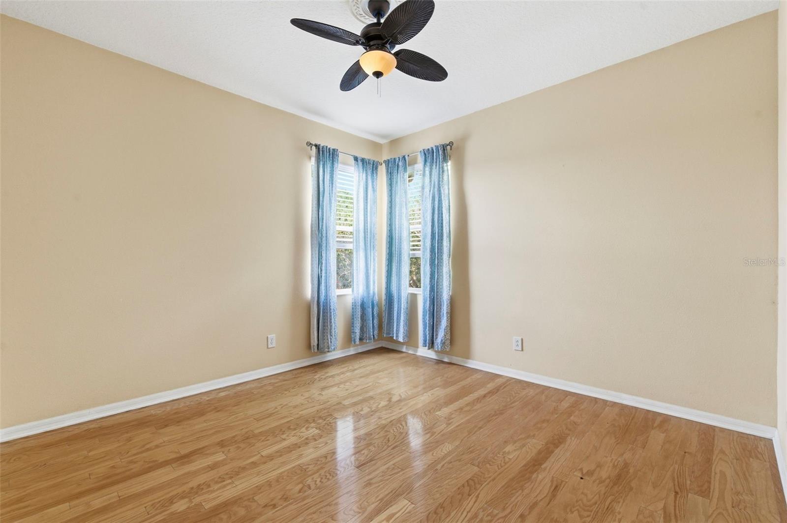 20629 WILD PLUM CT, LAND O LAKES, FL, 34637