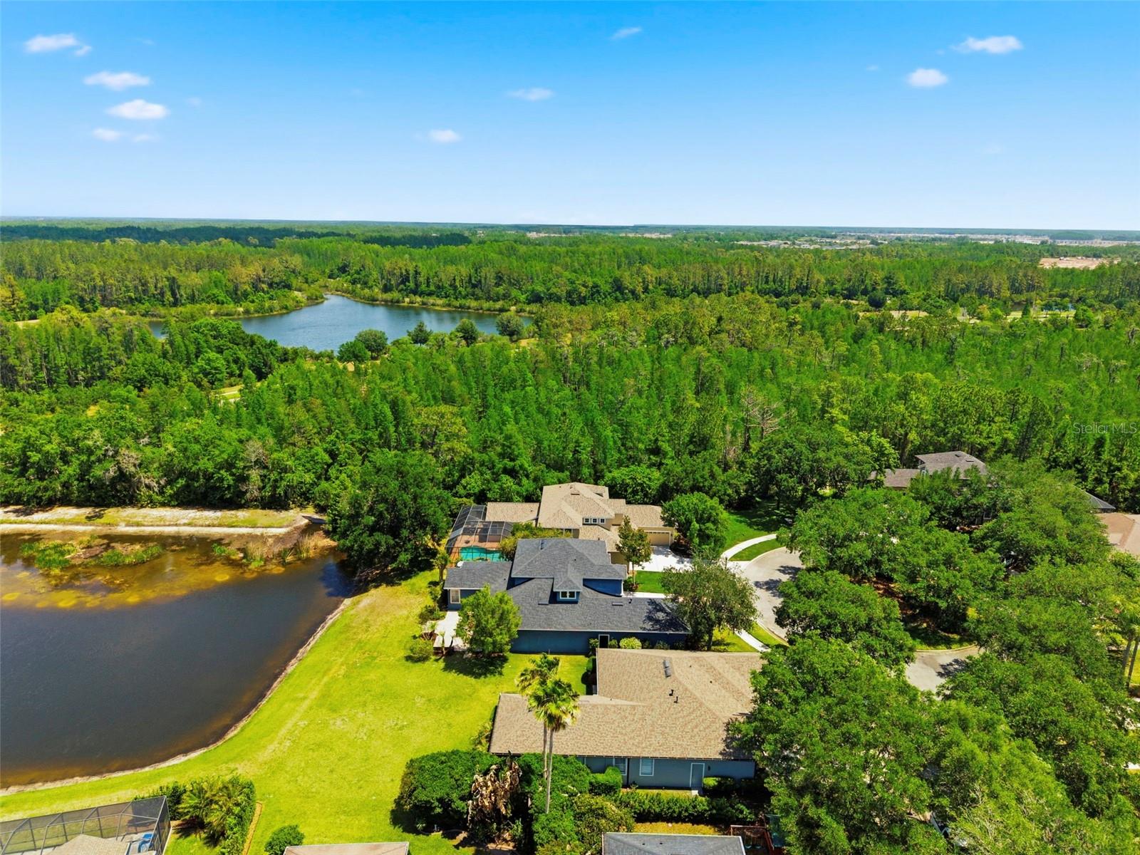 20629 WILD PLUM CT, LAND O LAKES, FL, 34637
