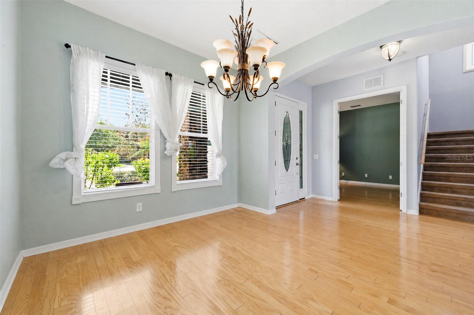 20629 WILD PLUM CT, LAND O LAKES, FL, 34637