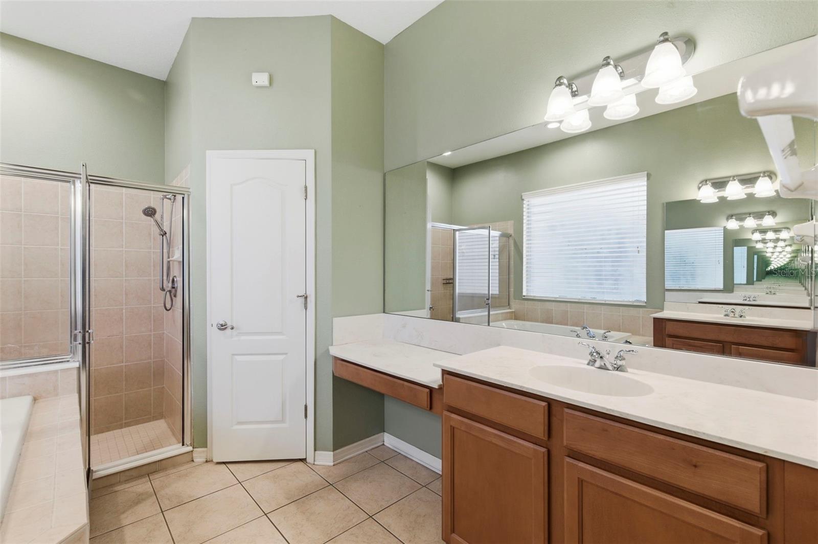 20629 WILD PLUM CT, LAND O LAKES, FL, 34637