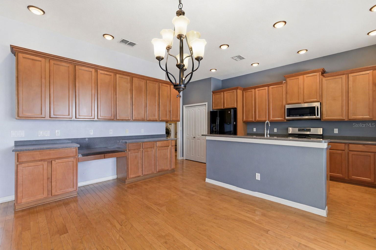 20629 WILD PLUM CT, LAND O LAKES, FL, 34637