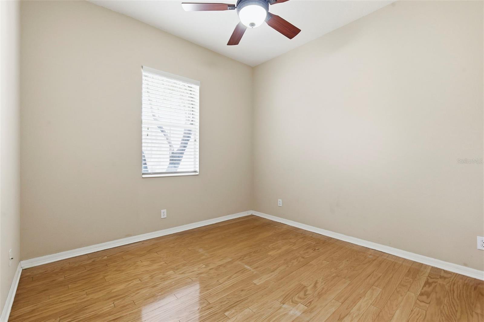 20629 WILD PLUM CT, LAND O LAKES, FL, 34637