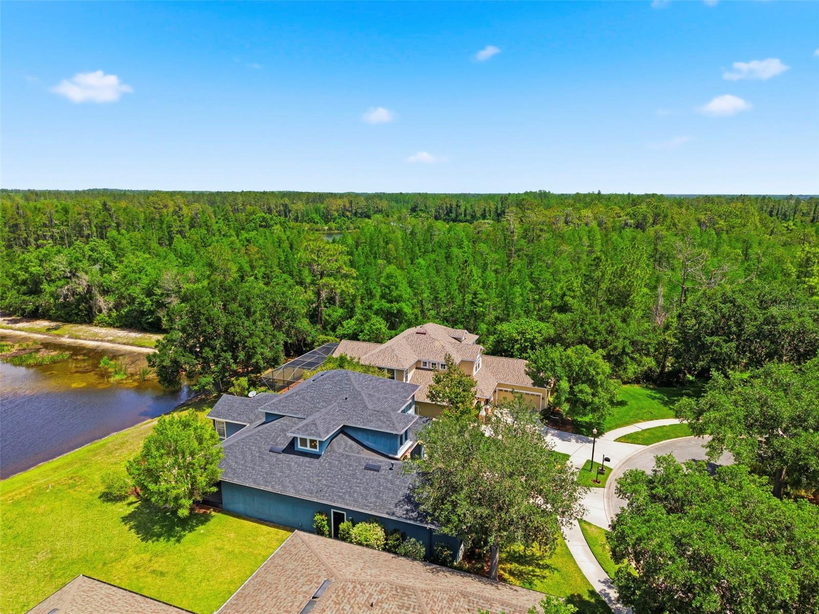 20629 WILD PLUM CT, LAND O LAKES, FL, 34637