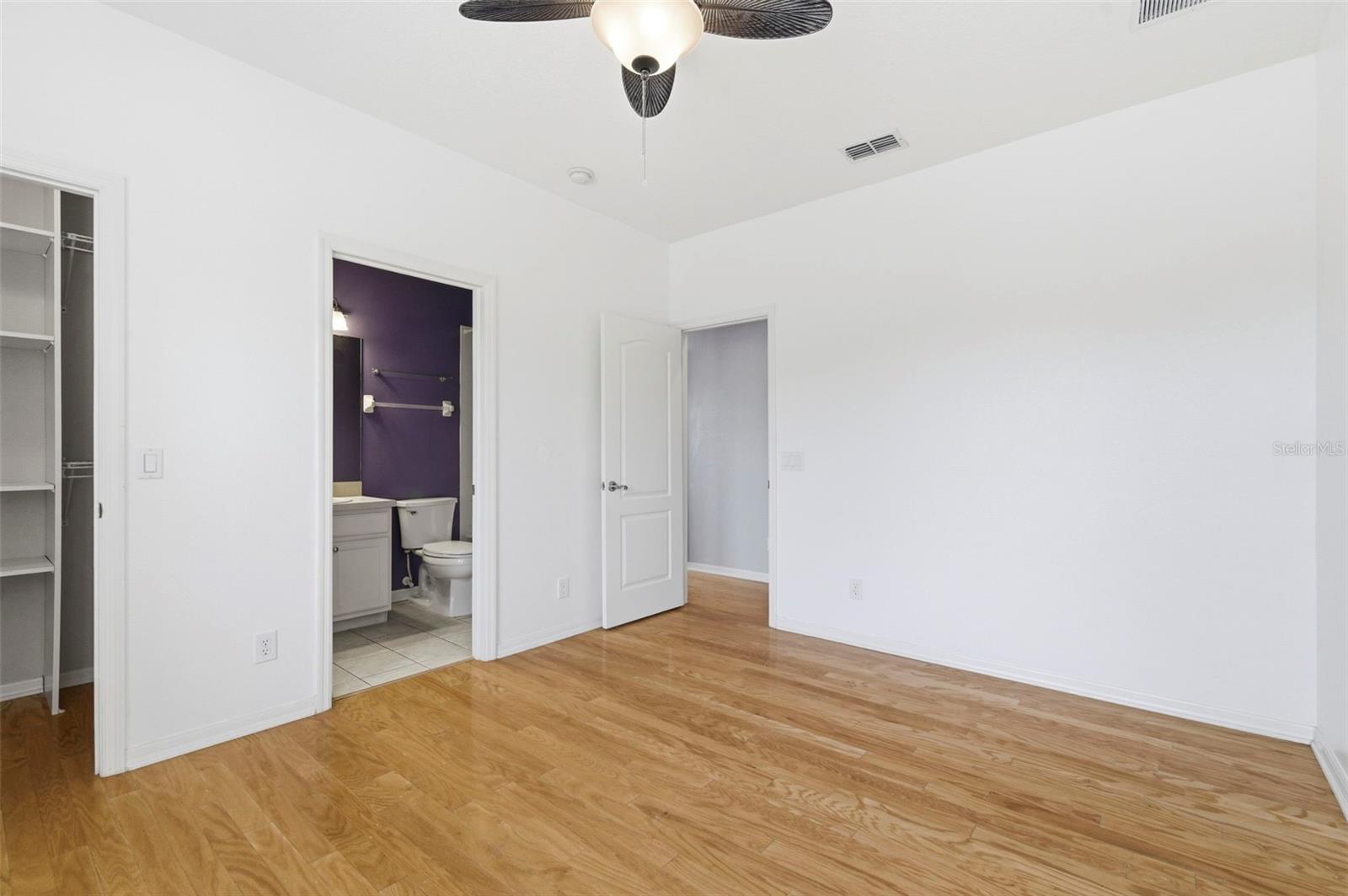 20629 WILD PLUM CT, LAND O LAKES, FL, 34637