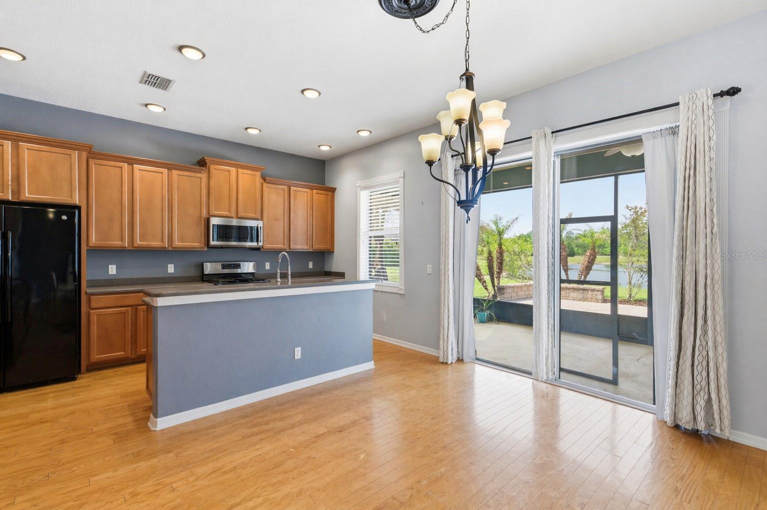 20629 WILD PLUM CT, LAND O LAKES, FL, 34637