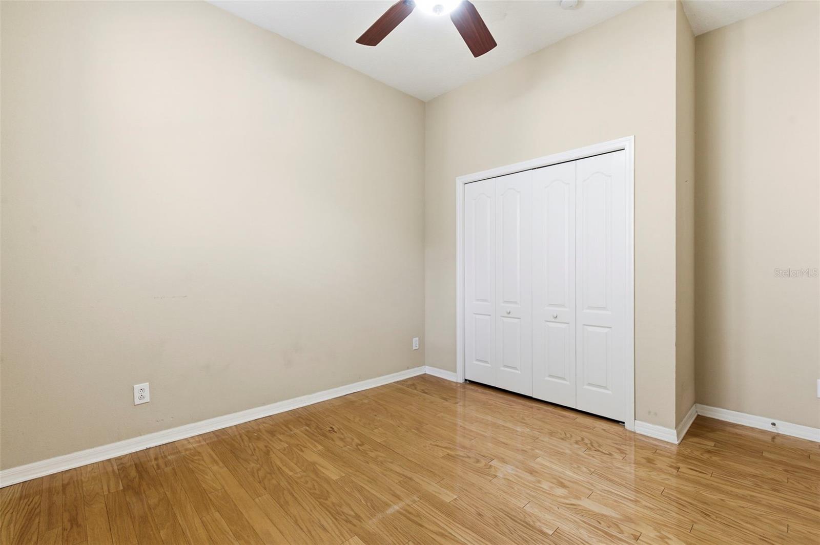 20629 WILD PLUM CT, LAND O LAKES, FL, 34637