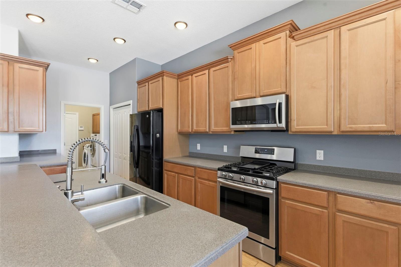 20629 WILD PLUM CT, LAND O LAKES, FL, 34637