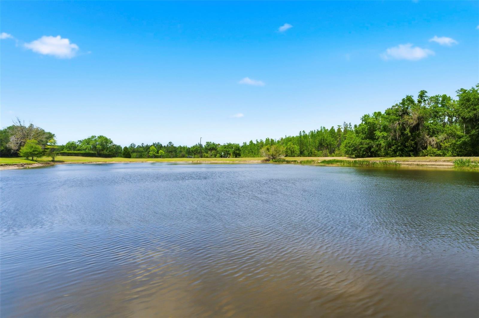 20629 WILD PLUM CT, LAND O LAKES, FL, 34637