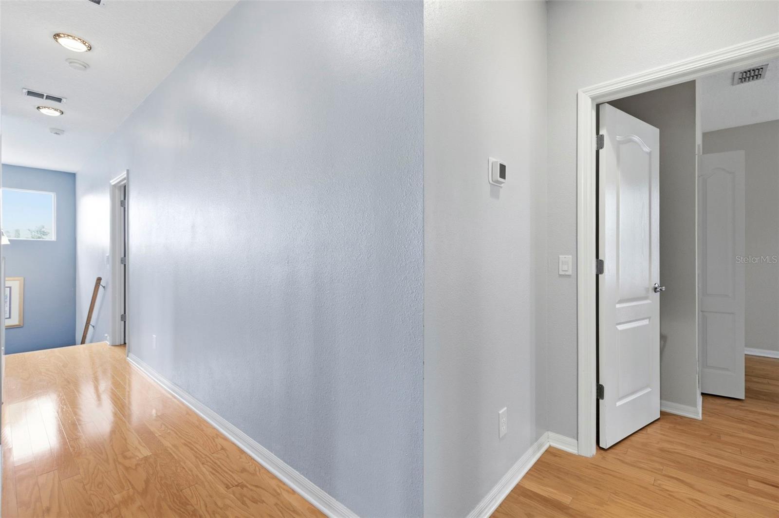 20629 WILD PLUM CT, LAND O LAKES, FL, 34637