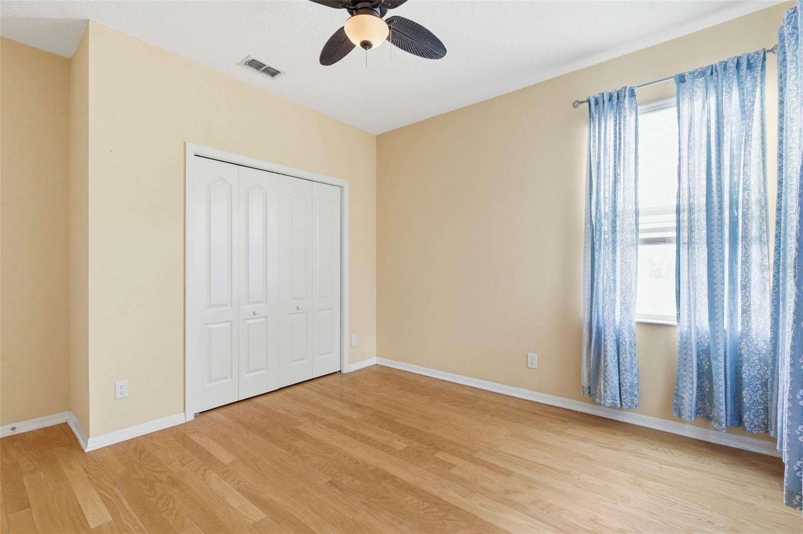 20629 WILD PLUM CT, LAND O LAKES, FL, 34637