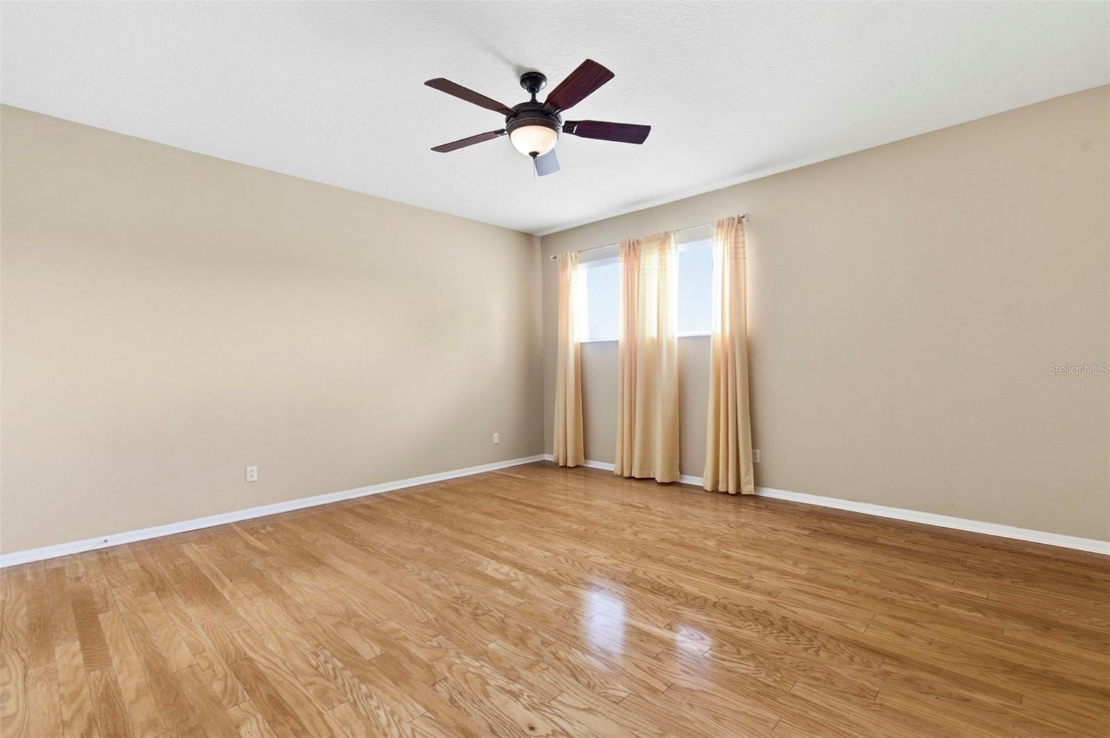 20629 WILD PLUM CT, LAND O LAKES, FL, 34637