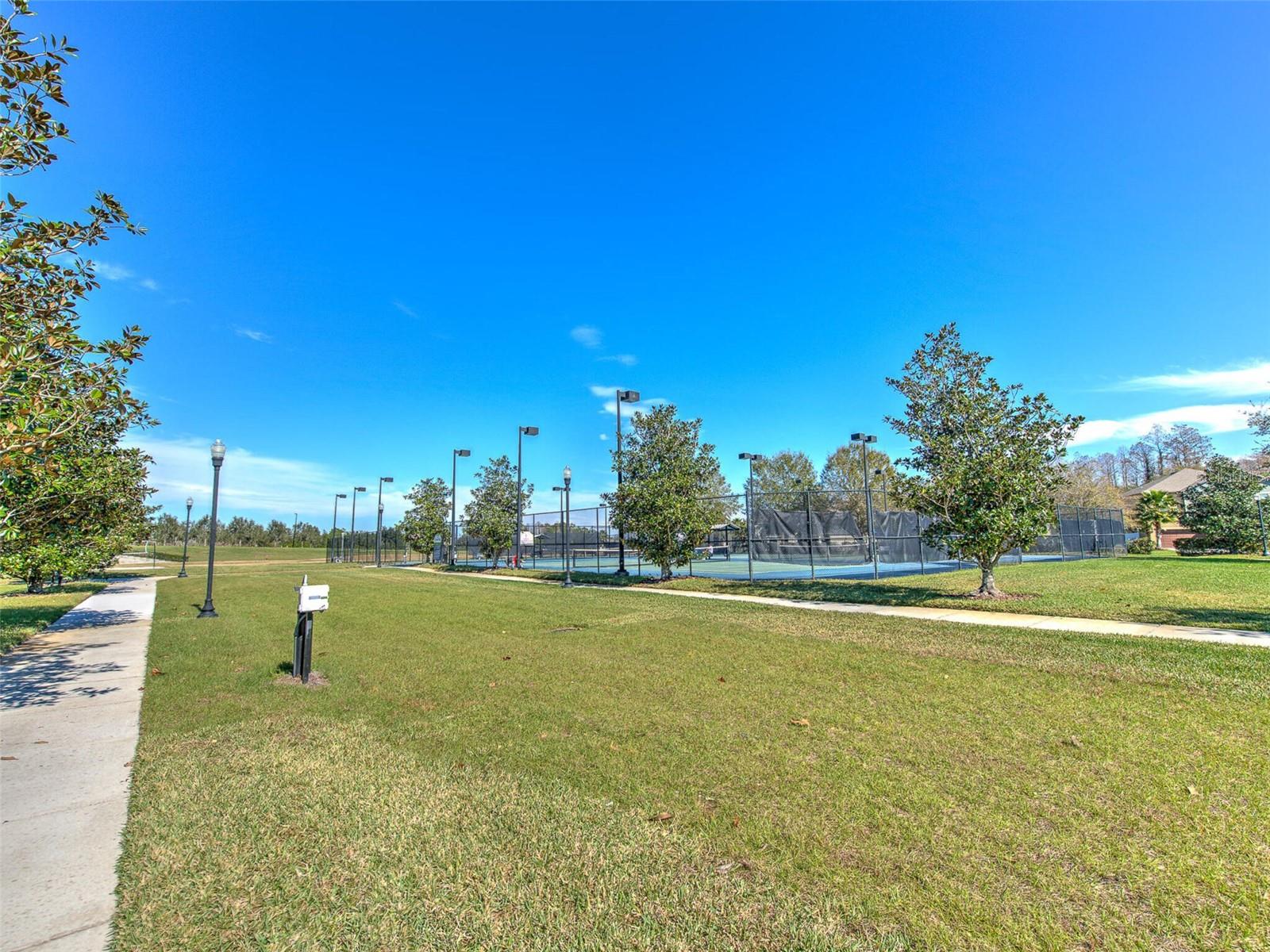 20629 WILD PLUM CT, LAND O LAKES, FL, 34637