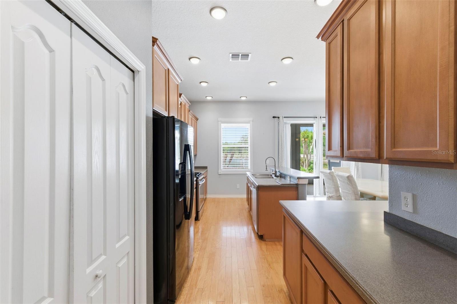 20629 WILD PLUM CT, LAND O LAKES, FL, 34637