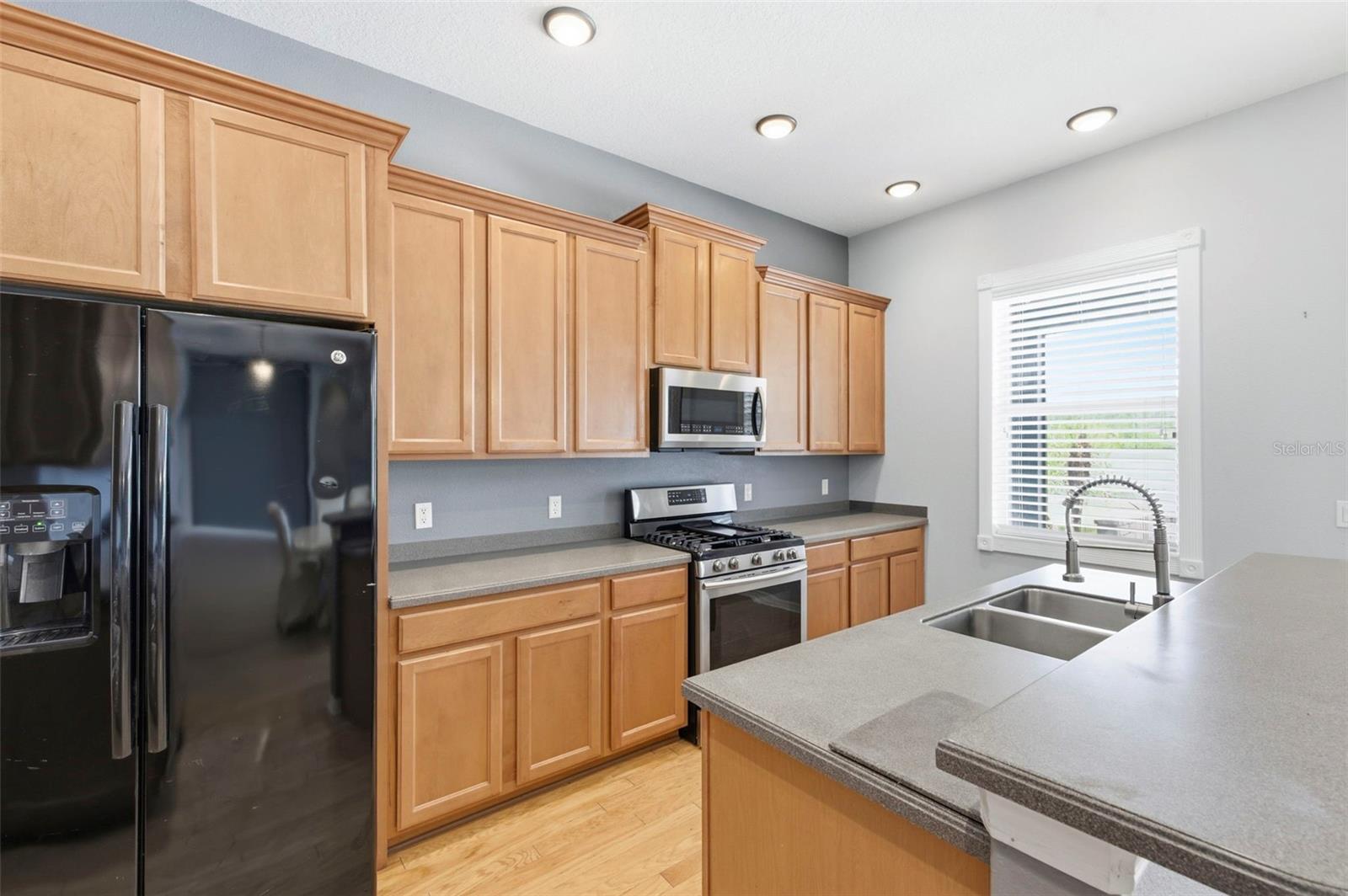 20629 WILD PLUM CT, LAND O LAKES, FL, 34637