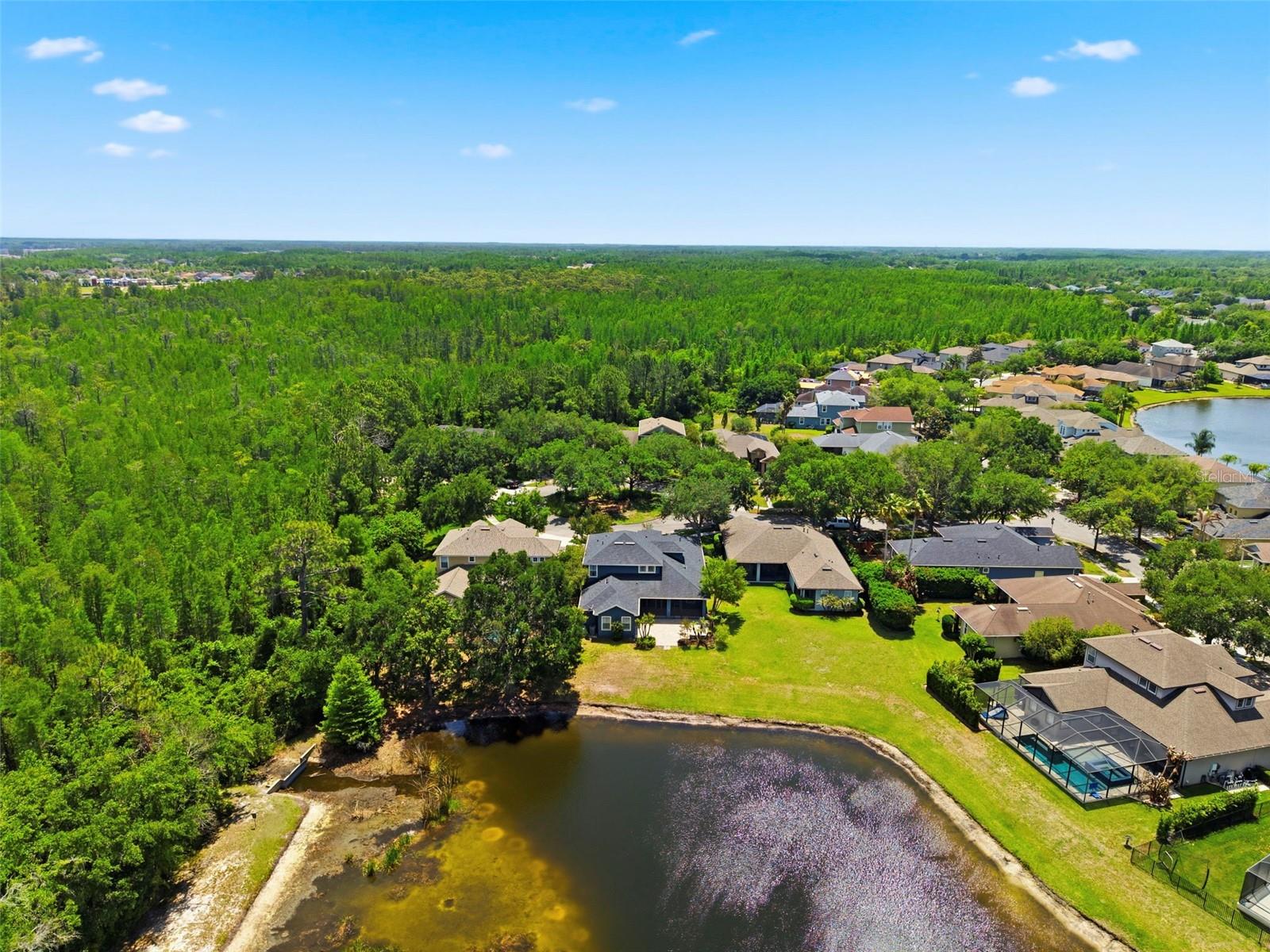 20629 WILD PLUM CT, LAND O LAKES, FL, 34637